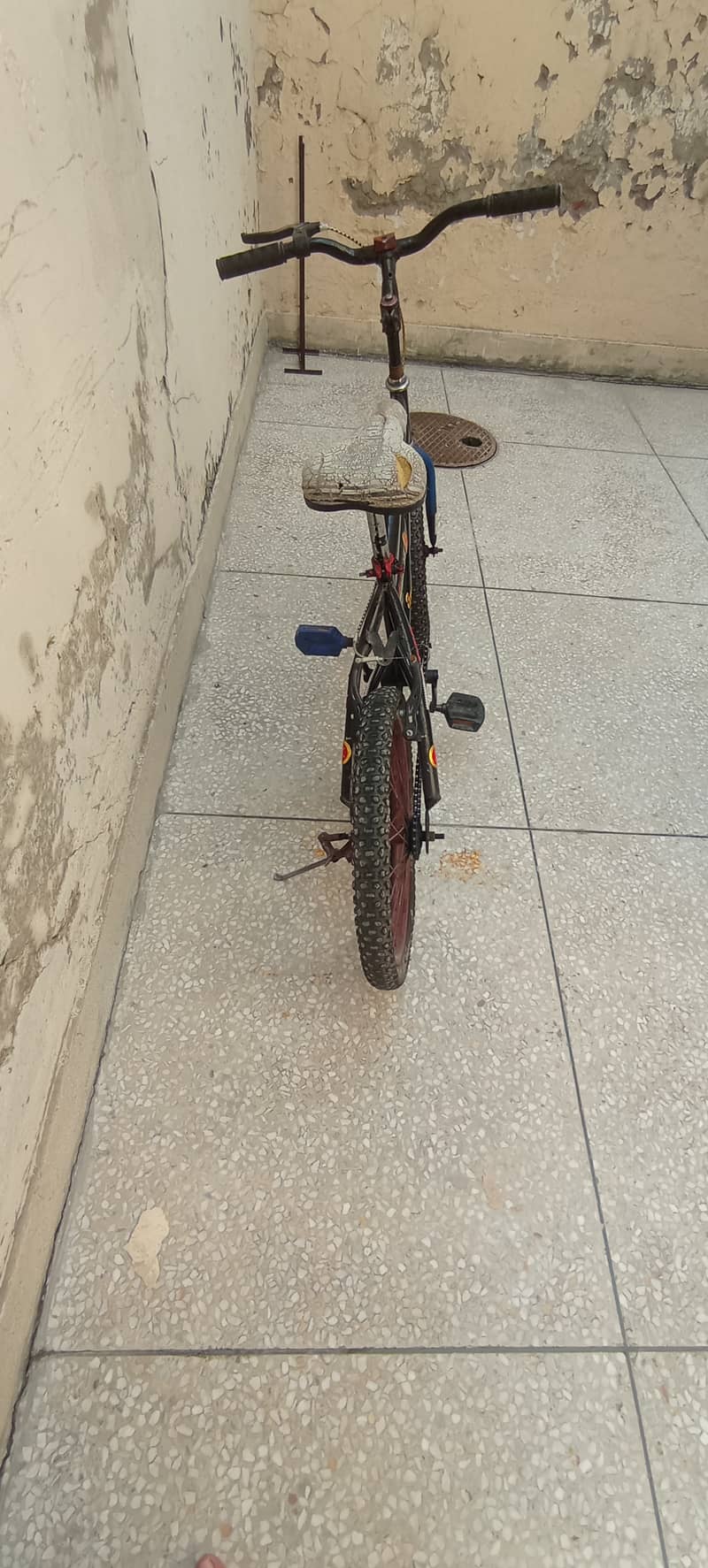 Mountain cycle 2