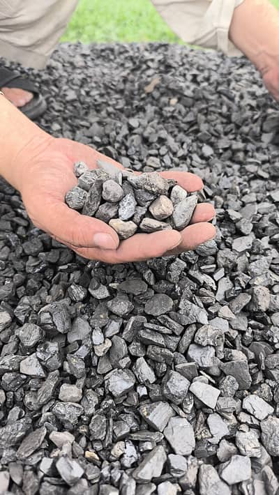 south coal