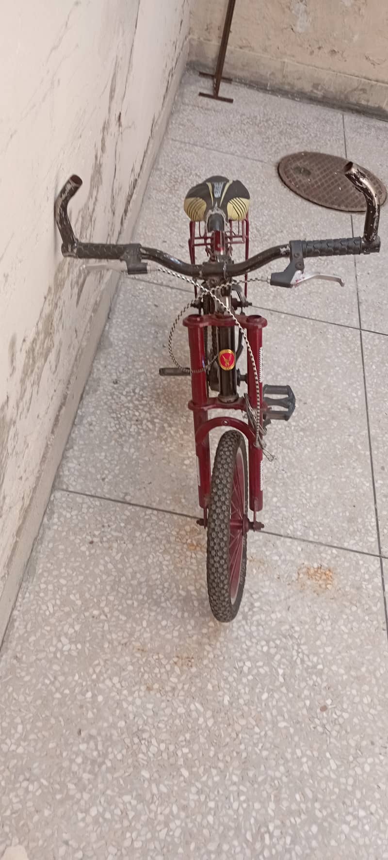 Cycle 3