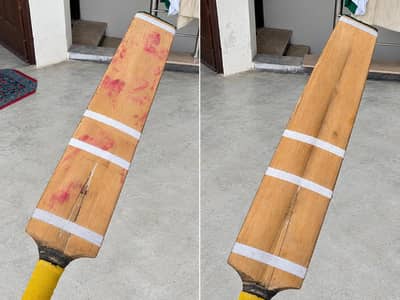 english willow power hitting bat