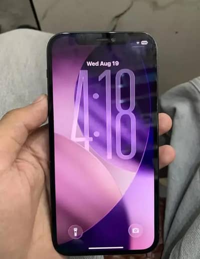 Apple iPhone 12
