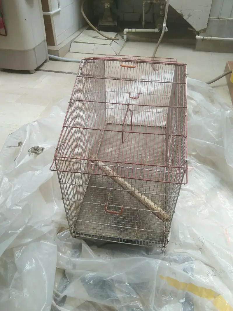 Iron cage for Sale — photo 2