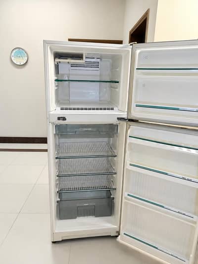 refrigerator & freezer