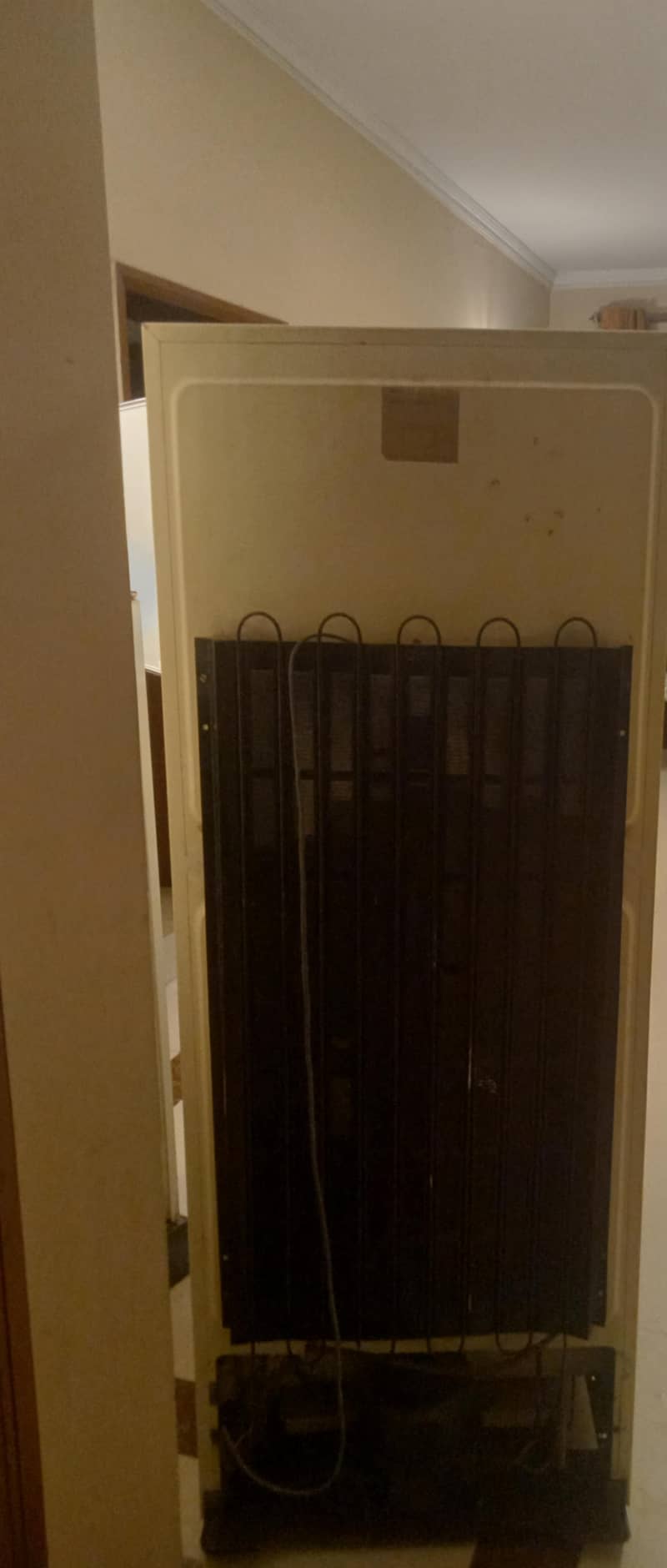 refrigerator & freezer 2