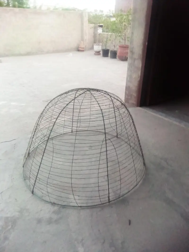 hen cage — photo 2