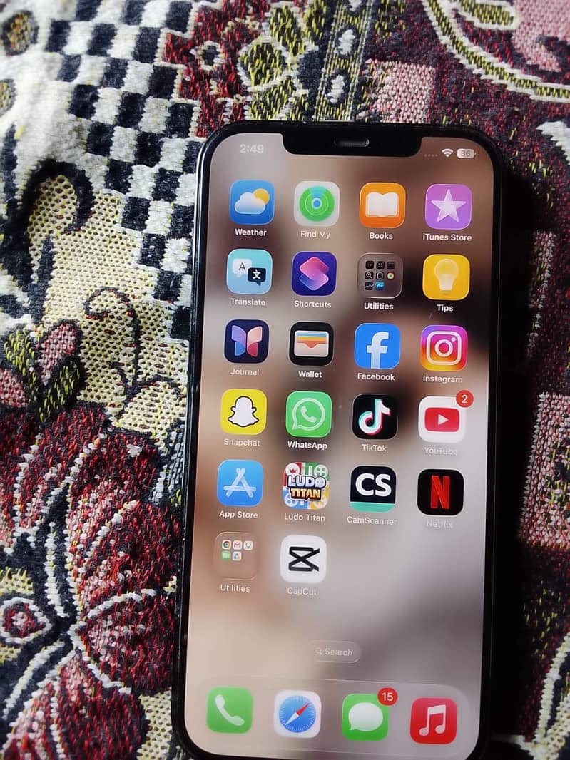 Apple iPhone 12 Pro Max 2