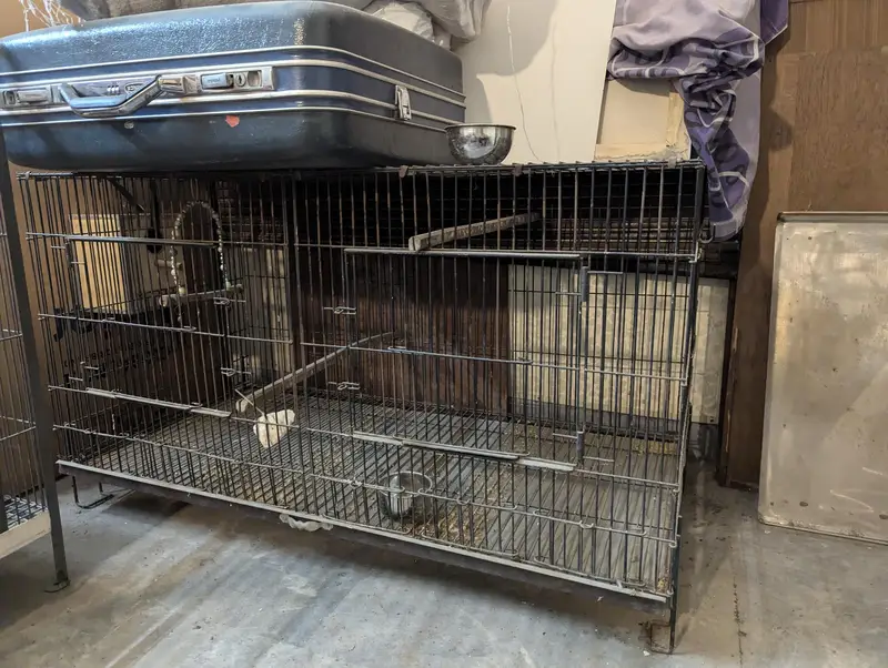 birds cages — photo 3