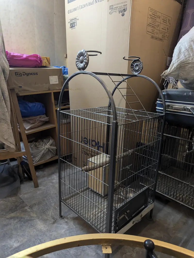 birds cages — photo 4