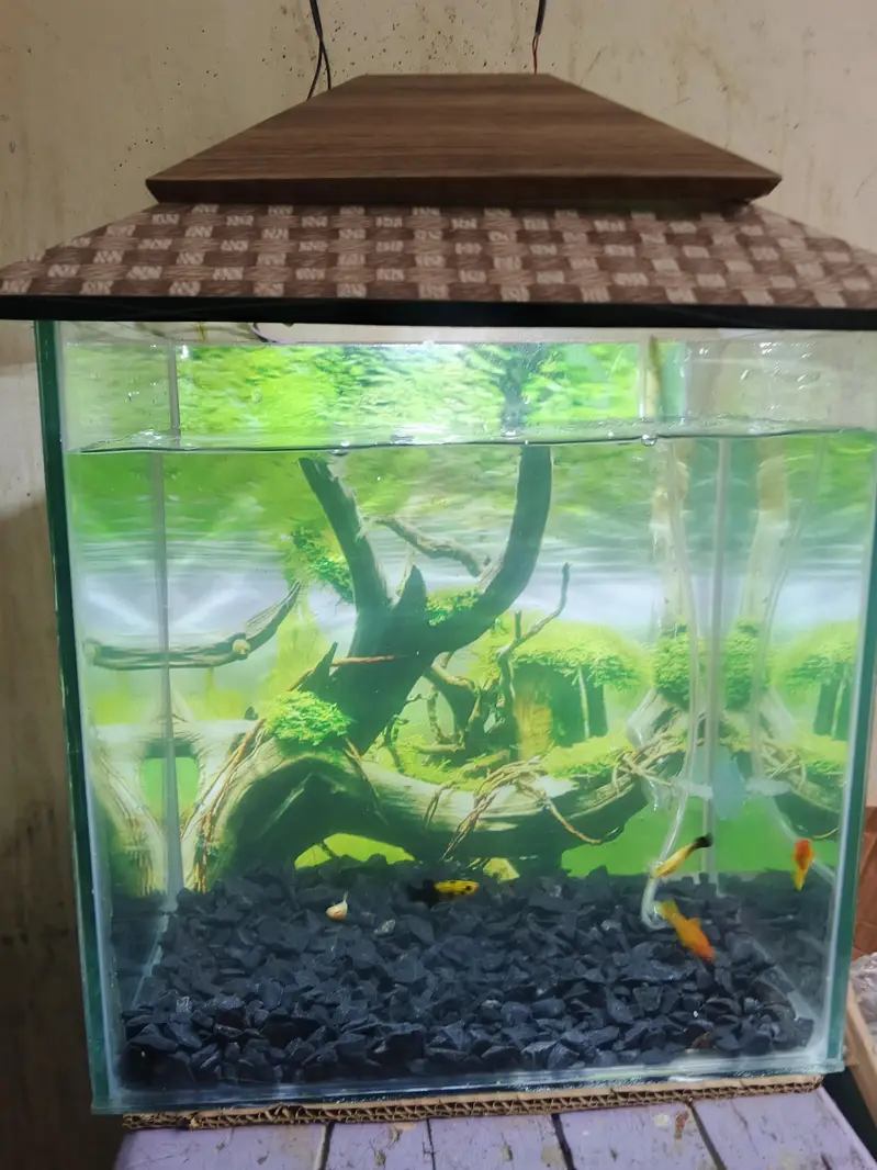 Aquarium for sale — photo 3