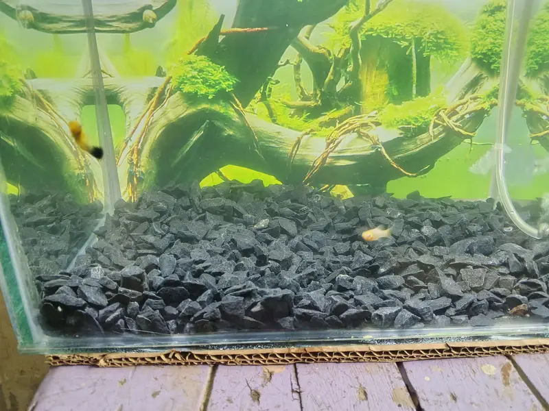 Aquarium for sale — photo 4