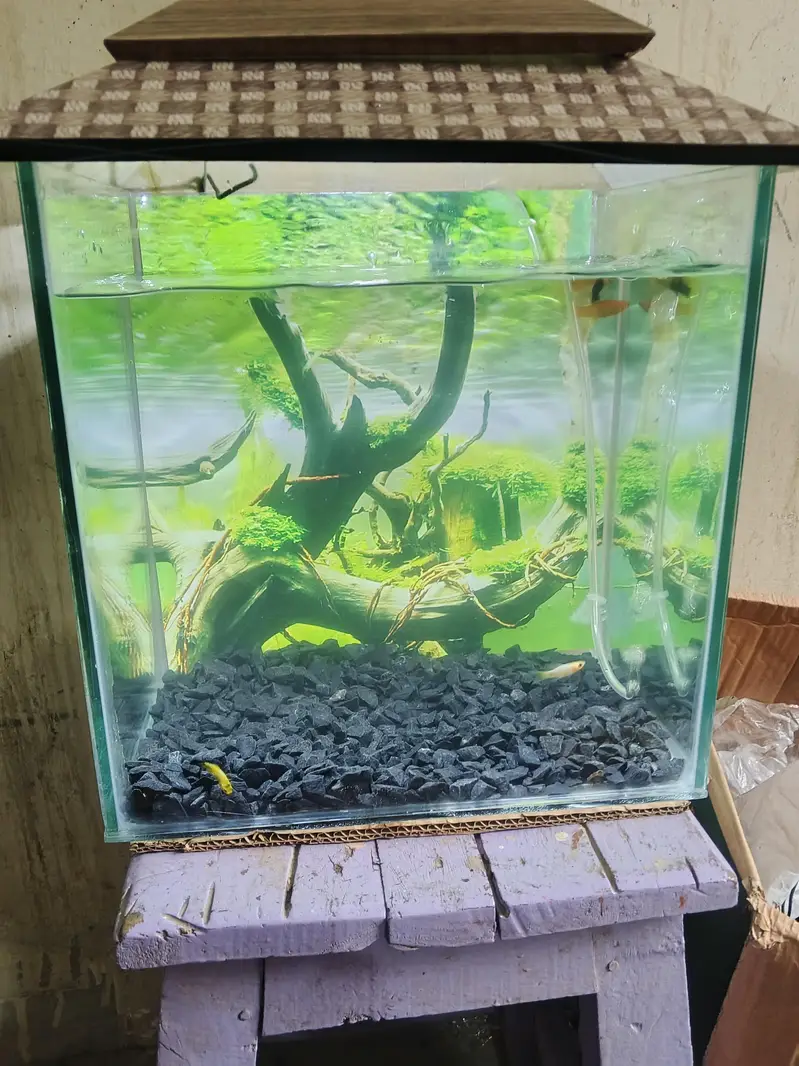 Aquarium for sale — photo 5