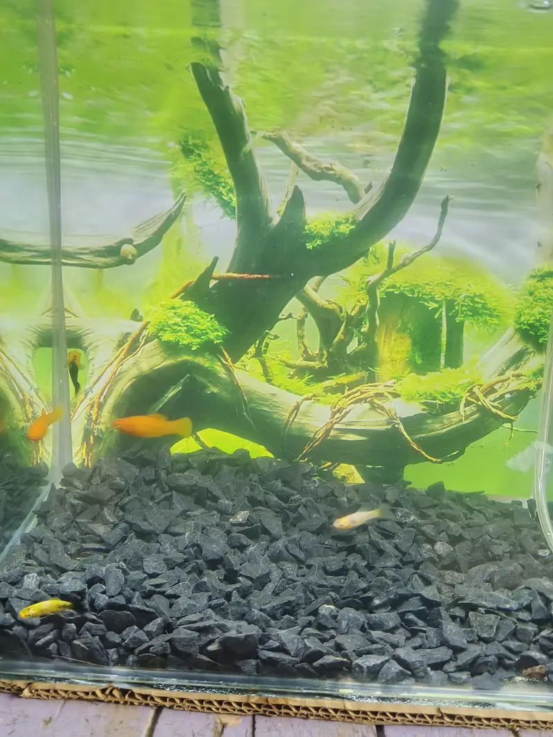 Aquarium for sale — photo 6