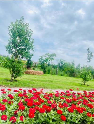 Bahria Enclave Islamabad Sector F1 8 marla Good location plot Available for Sale