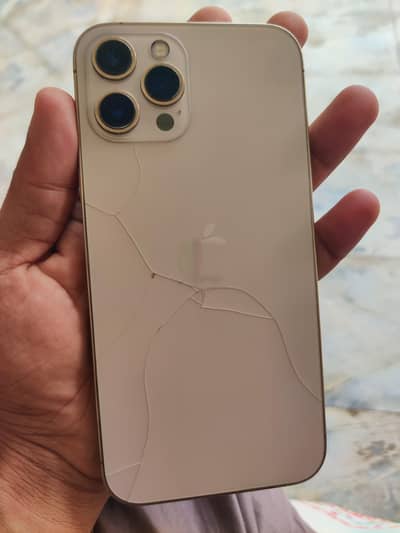 Apple iPhone 12 Pro Max