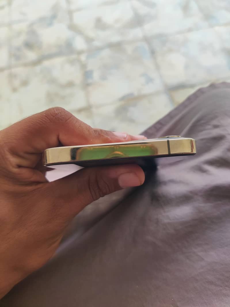 Apple iPhone 12 Pro Max 2