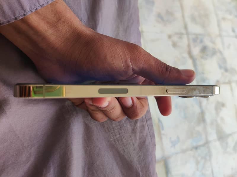 Apple iPhone 12 Pro Max 4