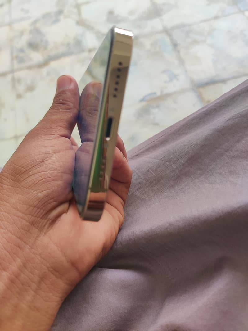 Apple iPhone 12 Pro Max 5
