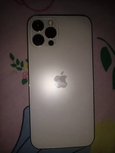 Apple iPhone 12 Pro