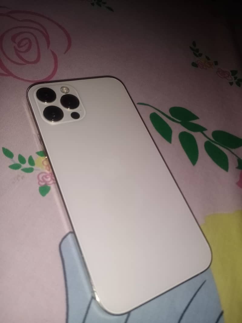 Apple iPhone 12 Pro 1