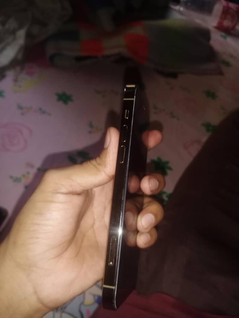 Apple iPhone 12 Pro 6