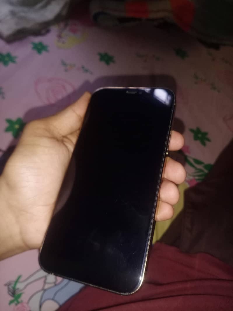 Apple iPhone 12 Pro 9