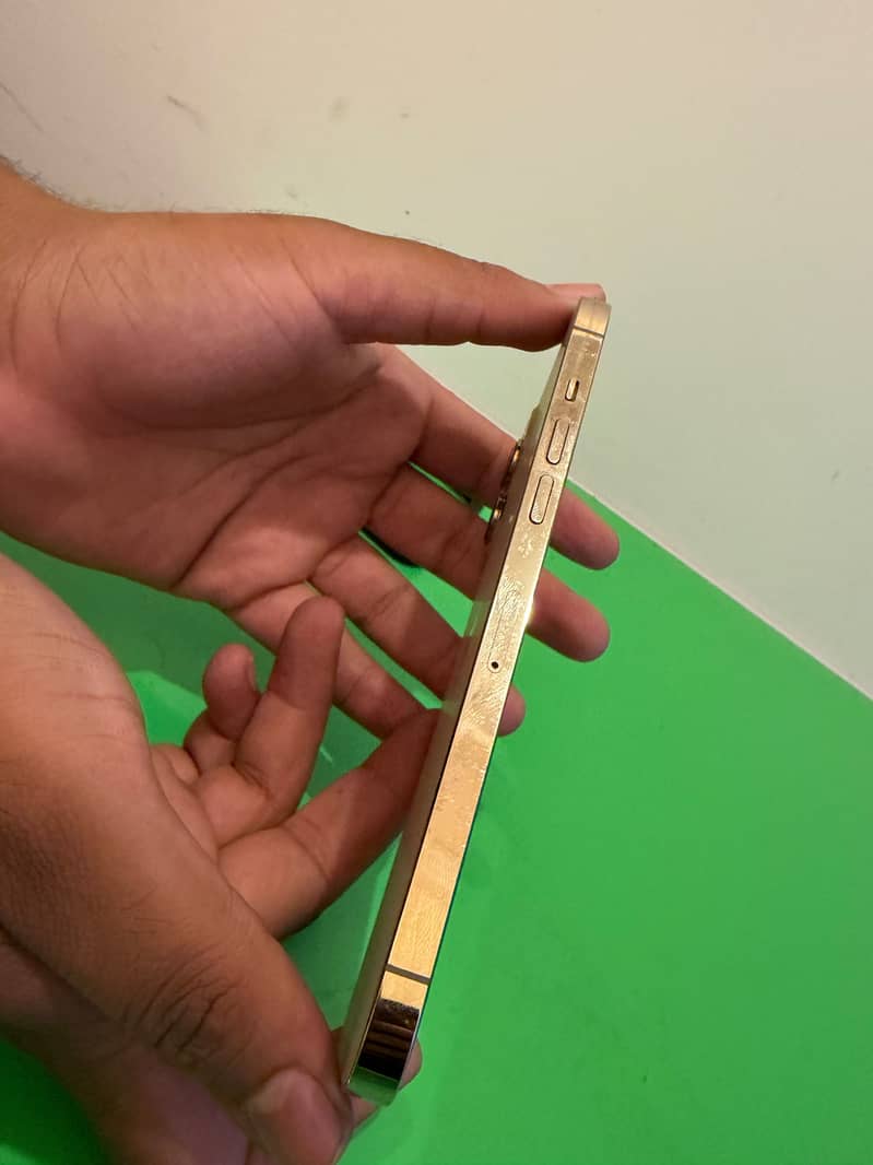 Apple iPhone 12 Pro Max 2