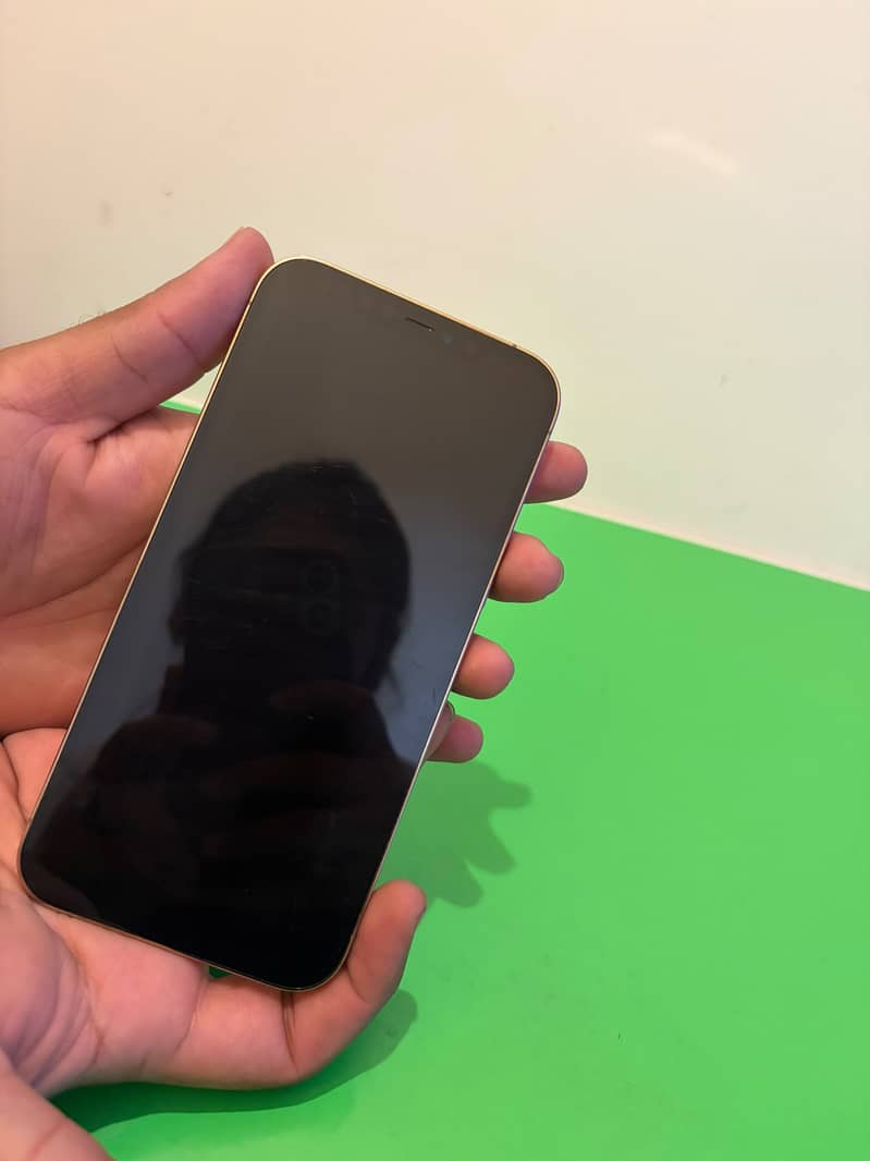 Apple iPhone 12 Pro Max 3