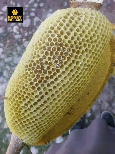 Pure Honey Available/Small Bee Honey/Fresh Honey