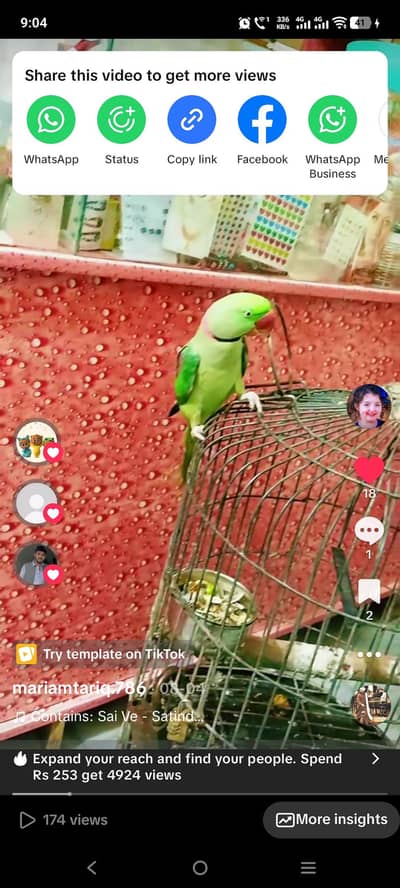 . . . . . . . .