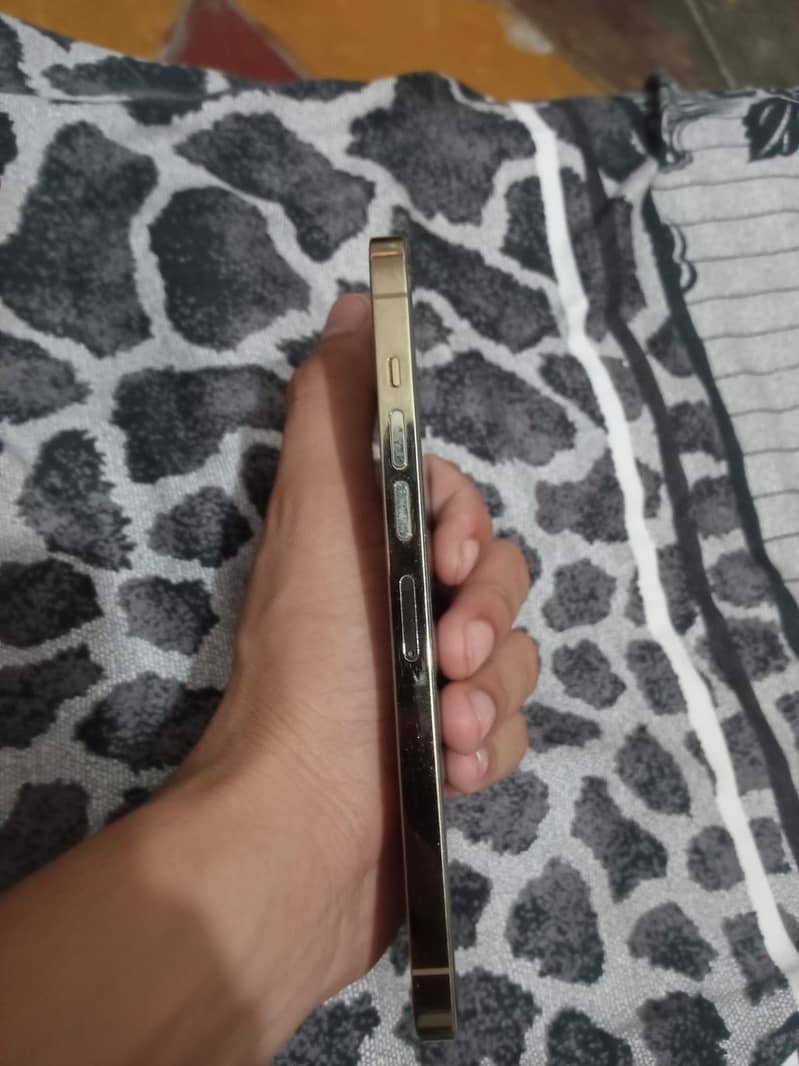 Apple iPhone 13 Pro Max 1
