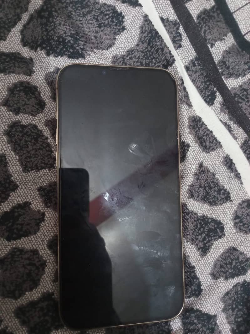 Apple iPhone 13 Pro Max 2