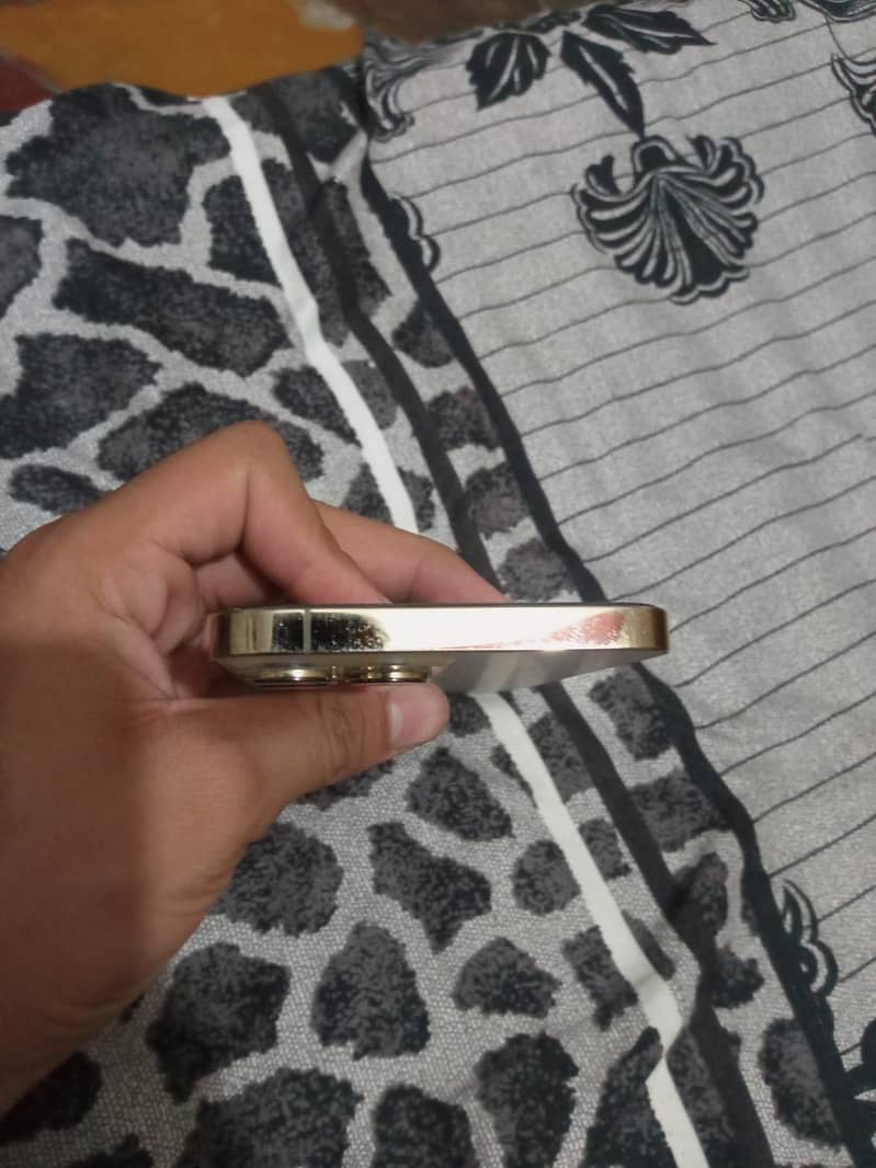 Apple iPhone 13 Pro Max 4