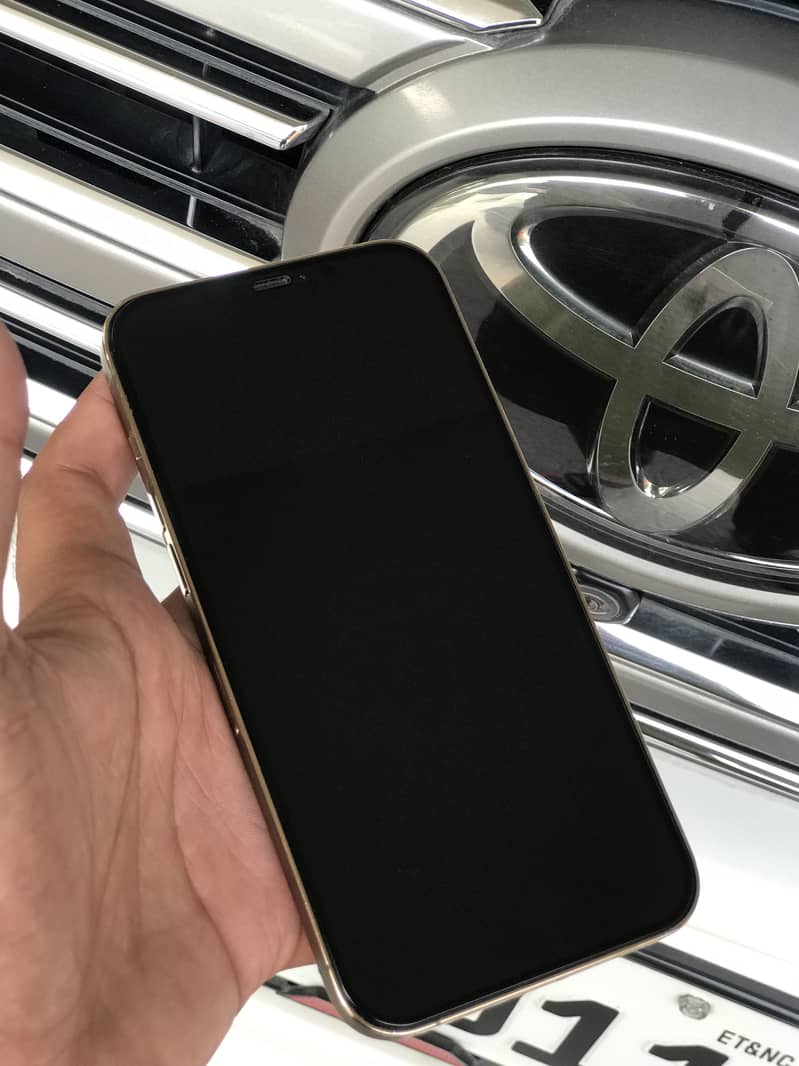 Apple iPhone 12 Pro Max 2