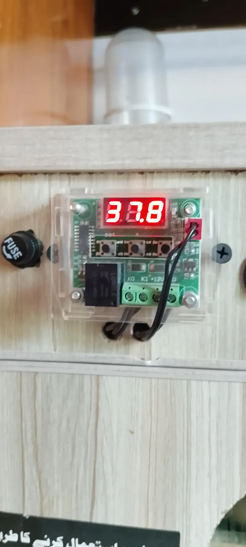incubator 100% results — photo 2