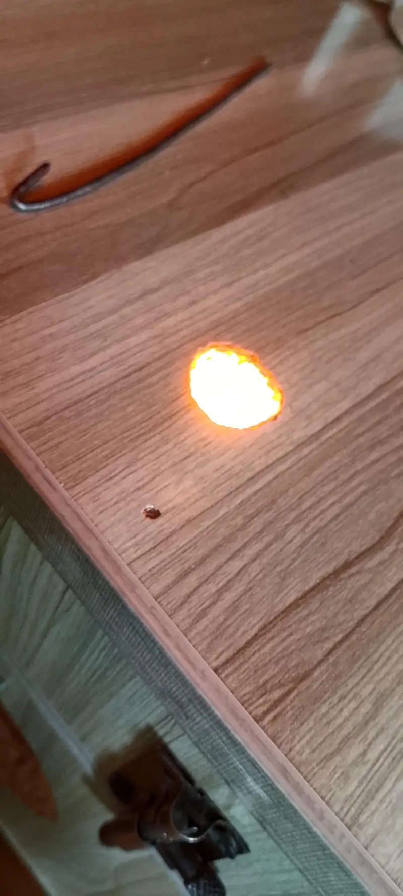 incubator 100% results — photo 3