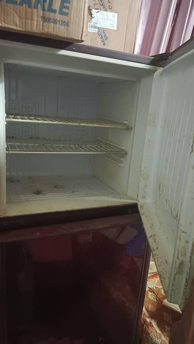 orient refrigerator for sale medium