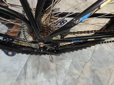 bicycle