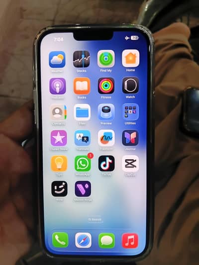 Apple iPhone 13 Pro Max