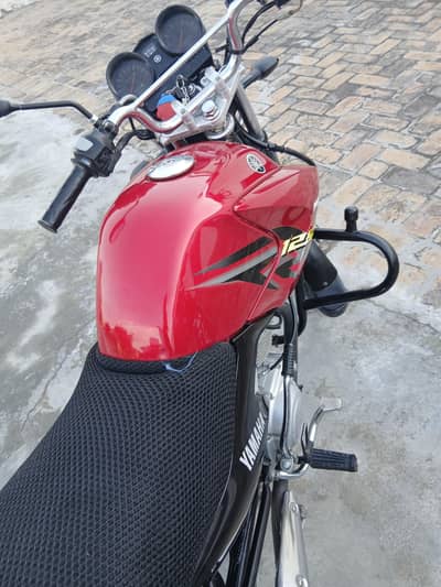 ybr g125