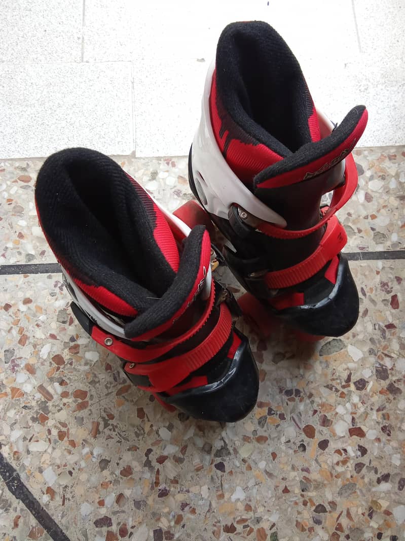 skating shoes 1