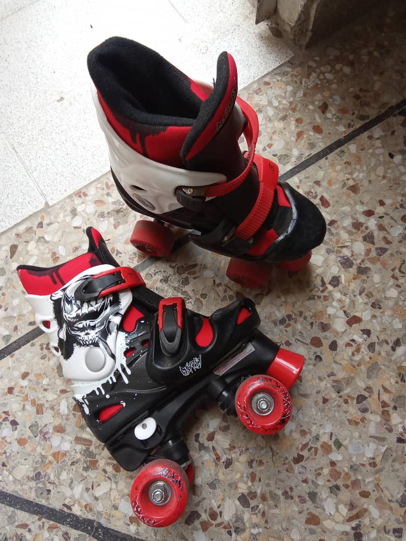 skating shoes 2