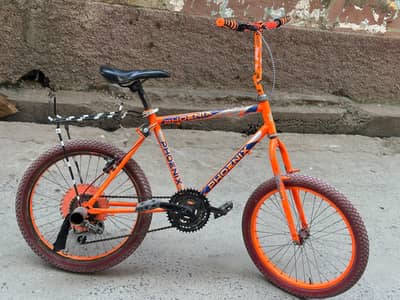 phoenix Bicycle