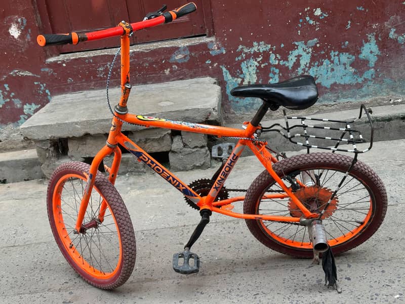 phoenix Bicycle 1
