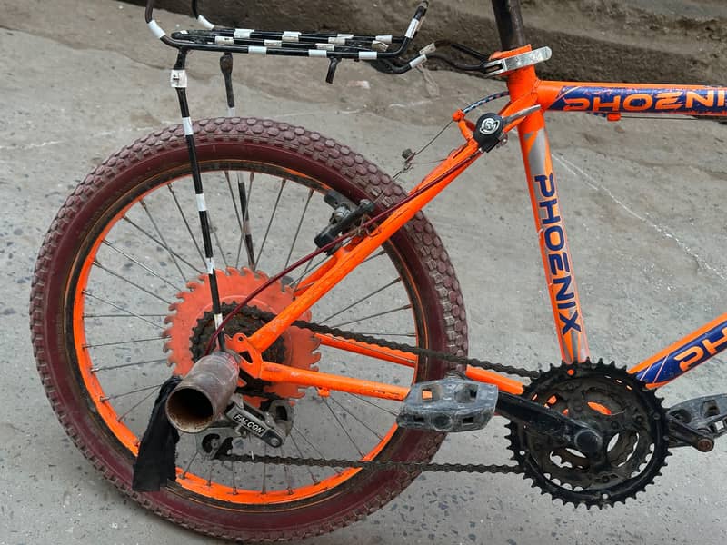 phoenix Bicycle 2