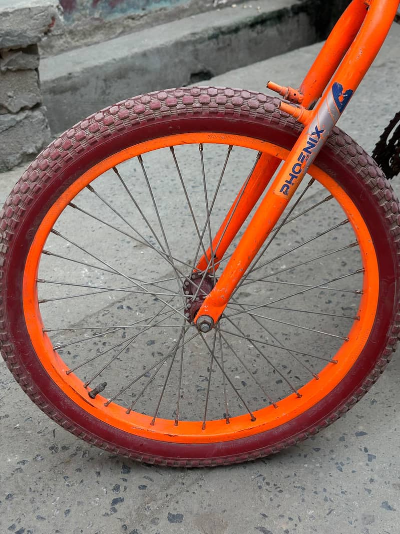 phoenix Bicycle 3