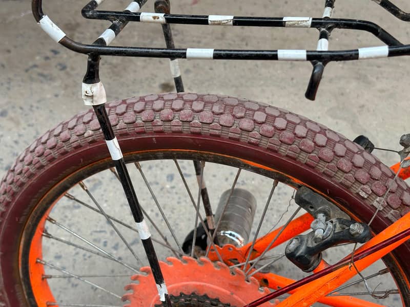 phoenix Bicycle 4