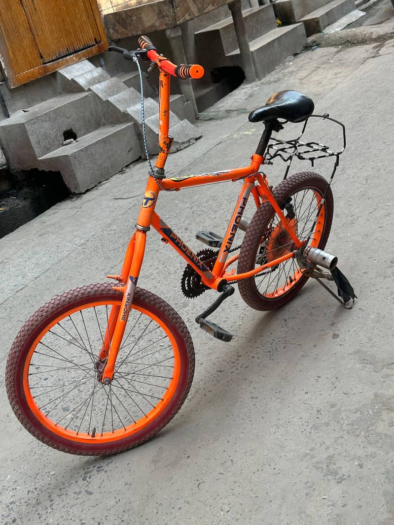 phoenix Bicycle 6