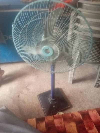 12 والٹ fan