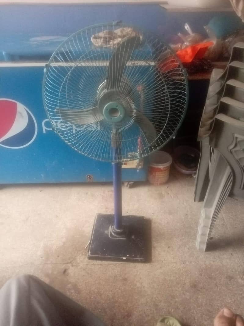 12 والٹ fan 1