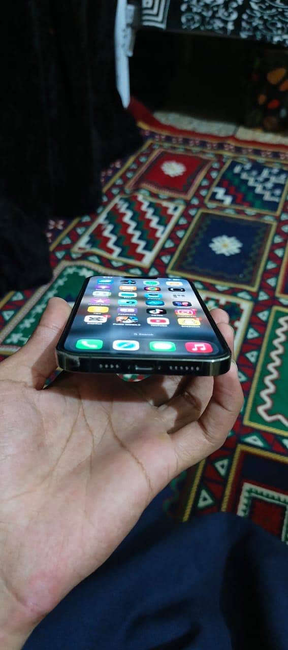 Apple iPhone 13 Pro Max 2